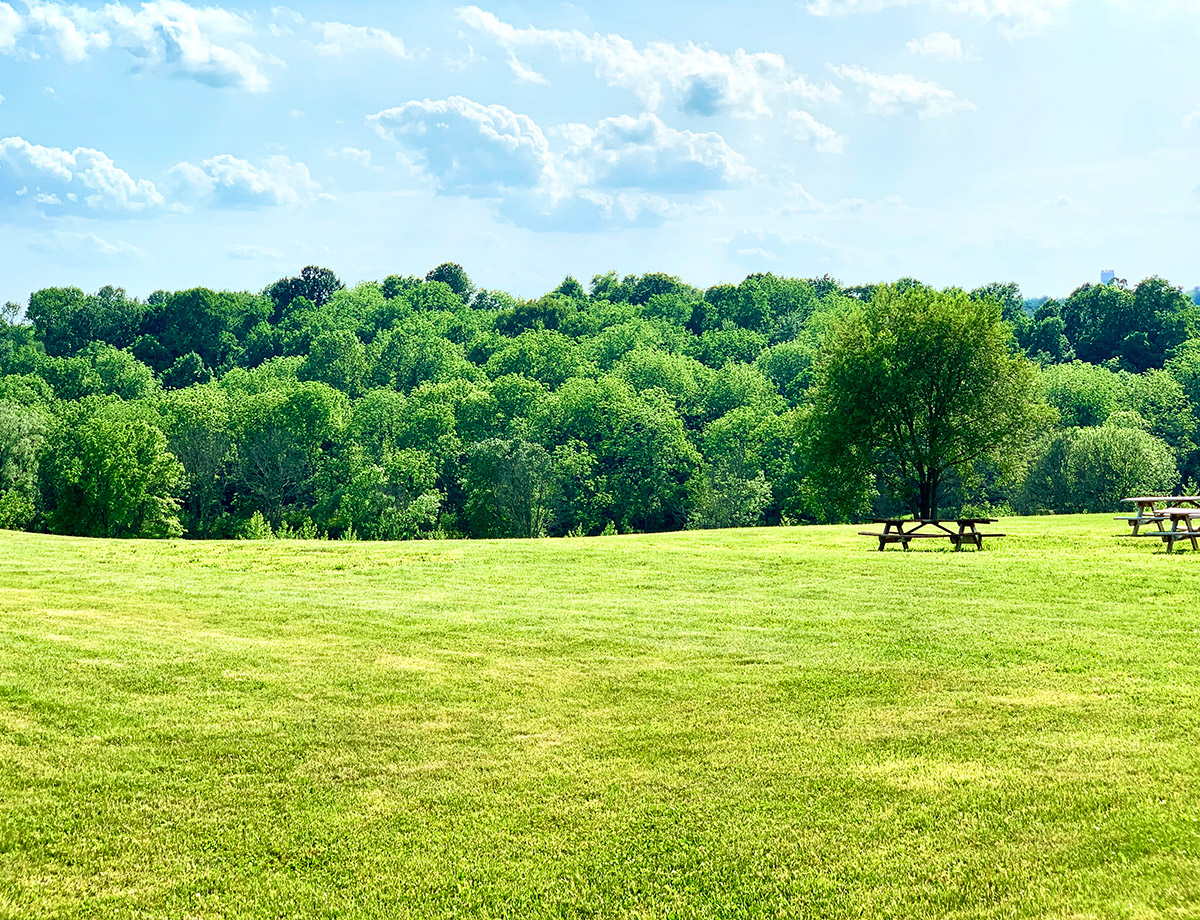 Westminster-Rescue-Mission-rolling-green-campus